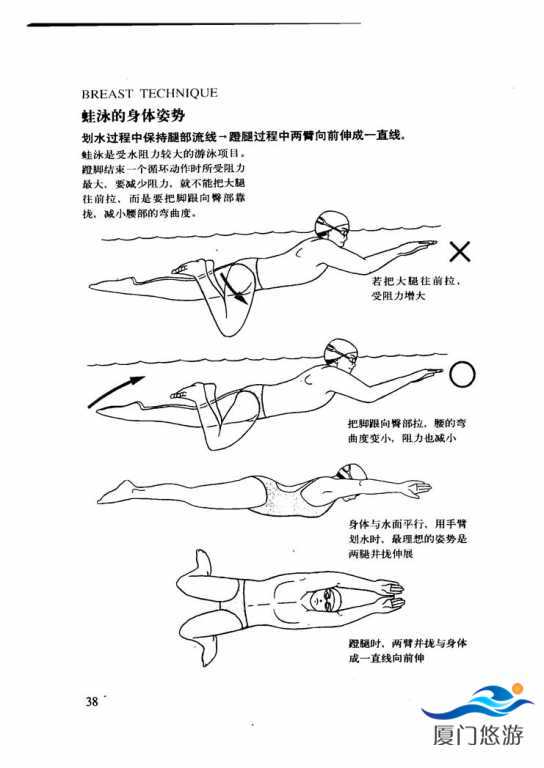 最新蛙泳技术，提升游泳效率与体验的核心秘籍