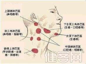 最新耳鸣研究，探索原因、诊断与治疗方法的进展之路