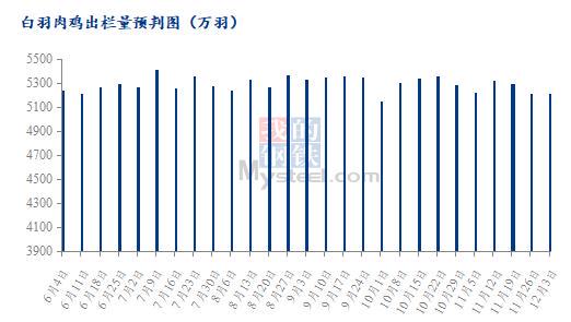 最新肉鸡价格走势分析