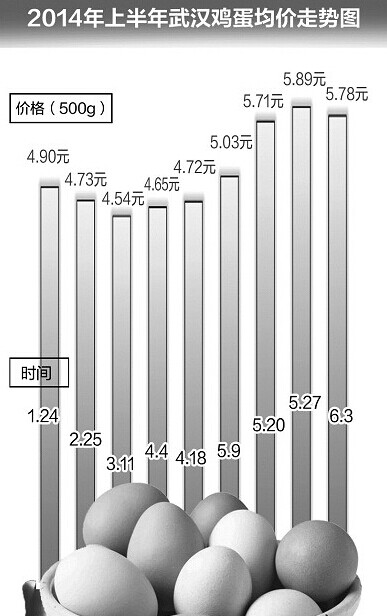 湖北鸡蛋价格最新动态分析