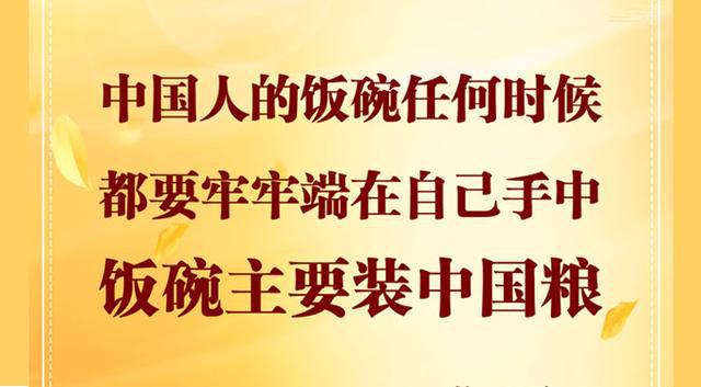 最新习语金句，时代潮流的精神灯塔引领前行