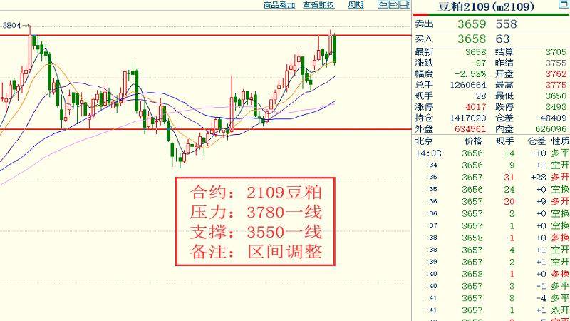 王中王三期必出10码,实地解答解释落实_尊贵款25.835