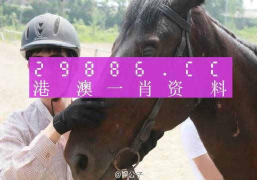 澳门一肖一码必中一肖,定量解答解释落实_pack55.338