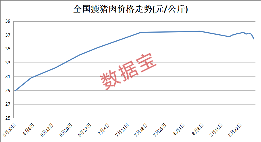 2024新澳免费资料三头67期，专家分析解释定义_8DM28.7.19