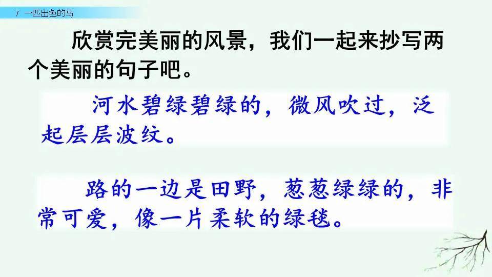 2024澳门特马今晚开奖的背景故事,涵盖了广泛的解释落实方法_win305.210