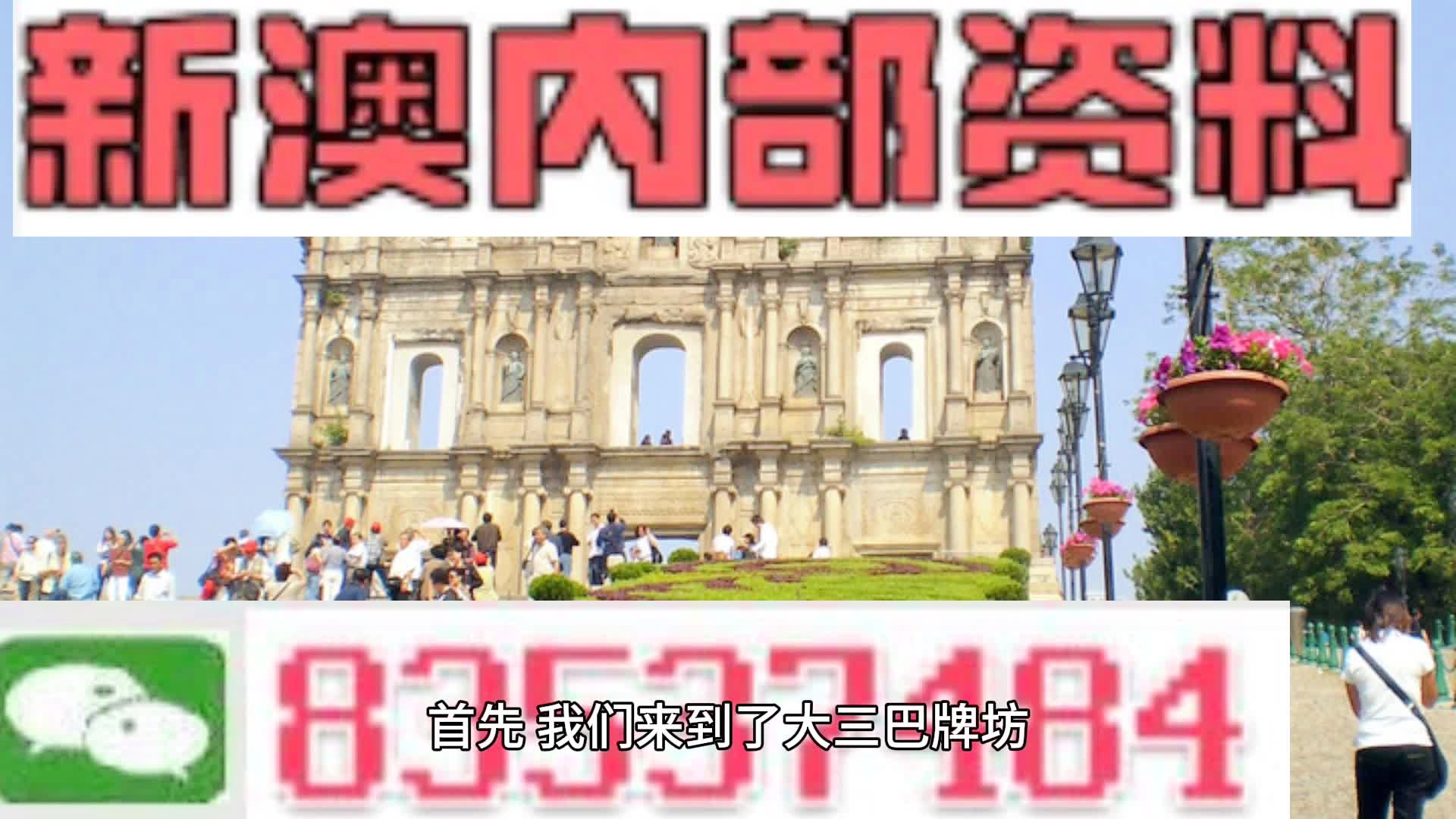 新澳门天天资料,收益成语分析落实_手游版2.686