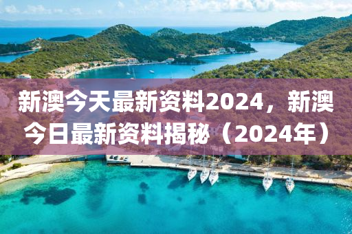 2024新奥资料免费精准,准确资料解释落实_精简版104.330