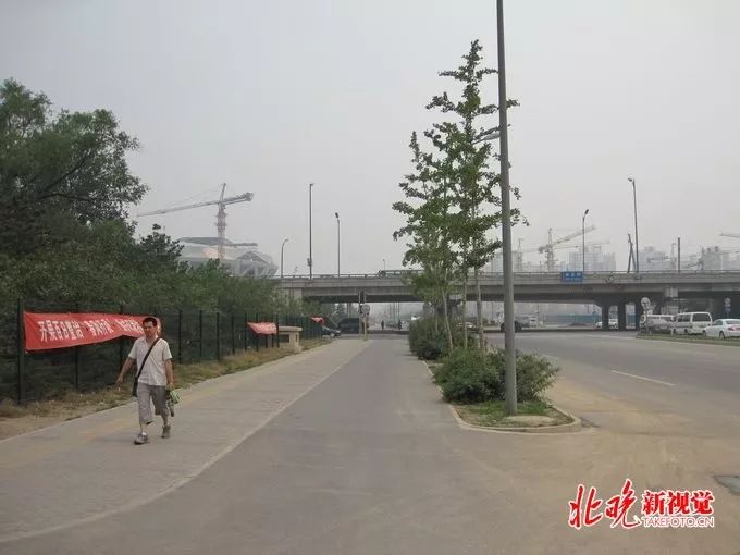 林萃路最新动态，蜕变中的城市脉搏