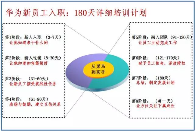 2021澳门天天开彩,完善的执行机制解析_win305.210