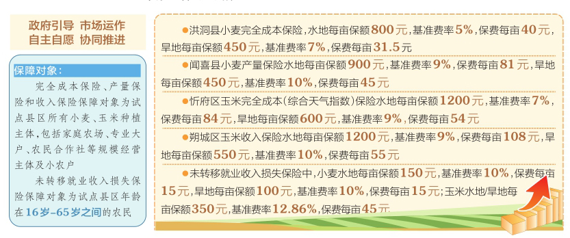 新澳全年免费资料大全,确保成语解释落实的问题_2D58.903