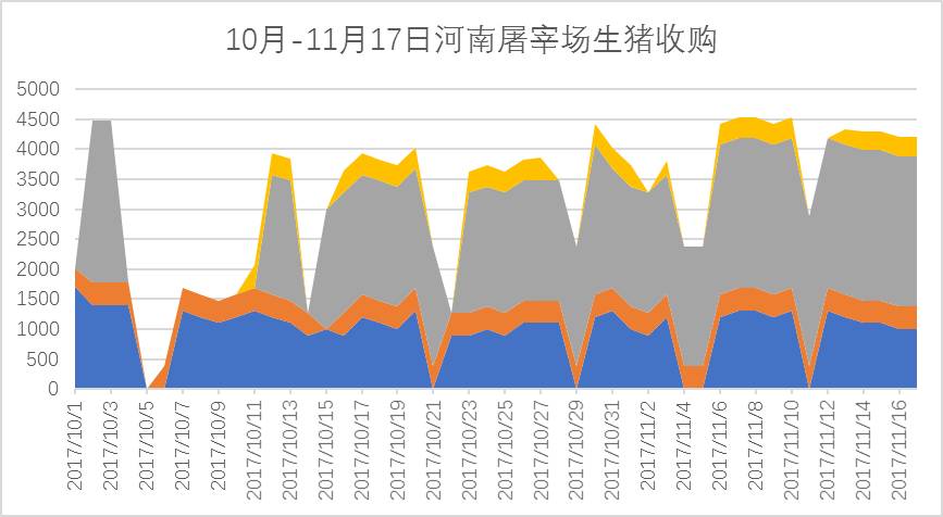 河南毛猪收购行情最新分析