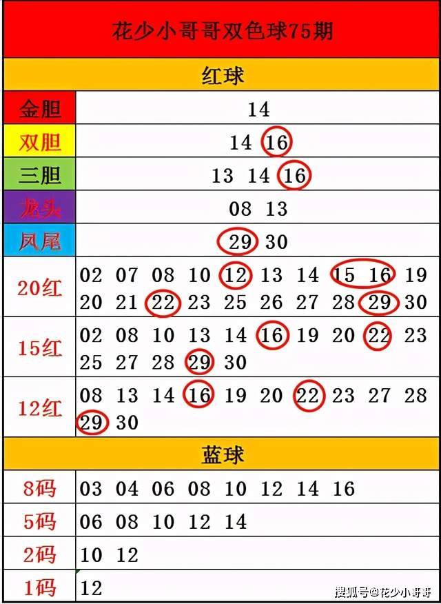 白小姐今晚特马期期准六,高速响应方案解析_MP88.960