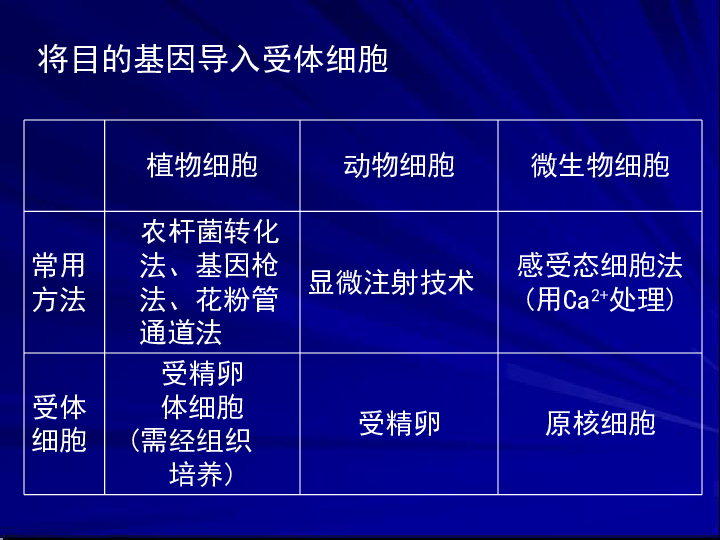 100%最准的一肖,科技成语分析落实_极速版39.78.58