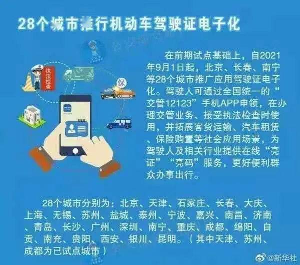 7777788888管家婆精准版游戏介绍,精细化策略落实探讨_专属版95.187