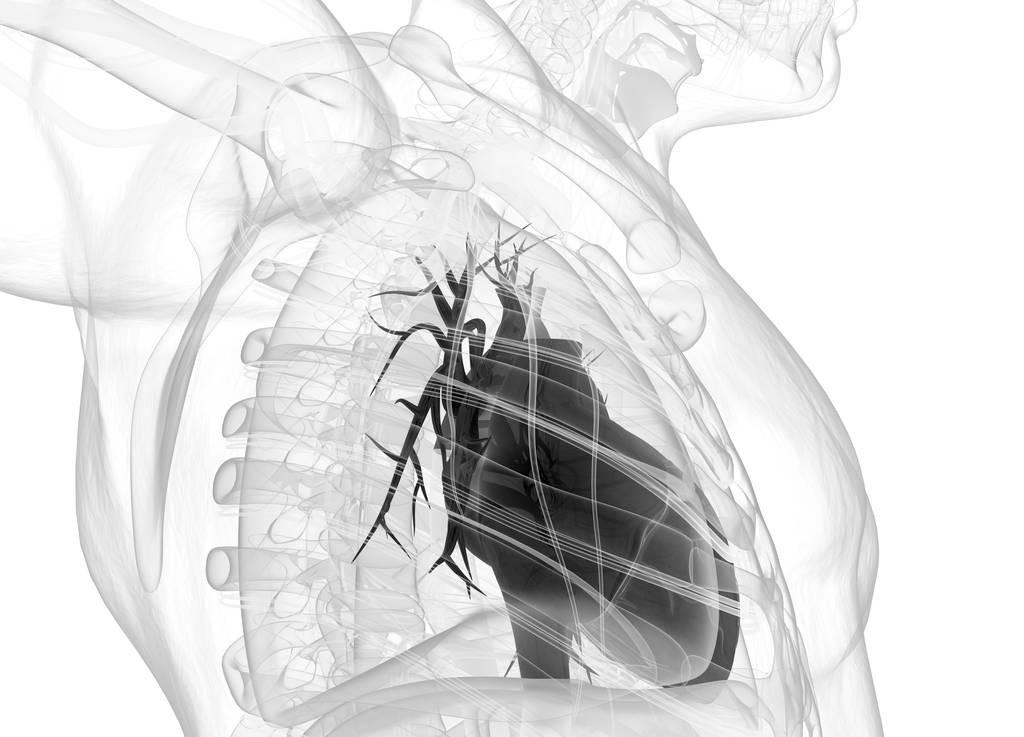 冠心病最新治疗，前沿技术与策略探索