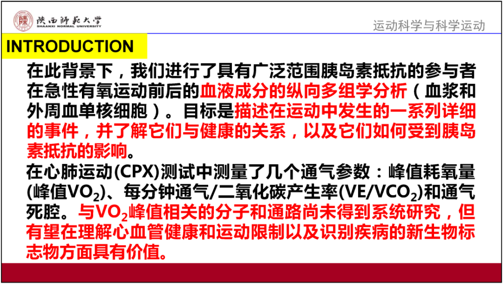 2024新奥正版资料免费大全,决策资料解释落实_游戏版1.967