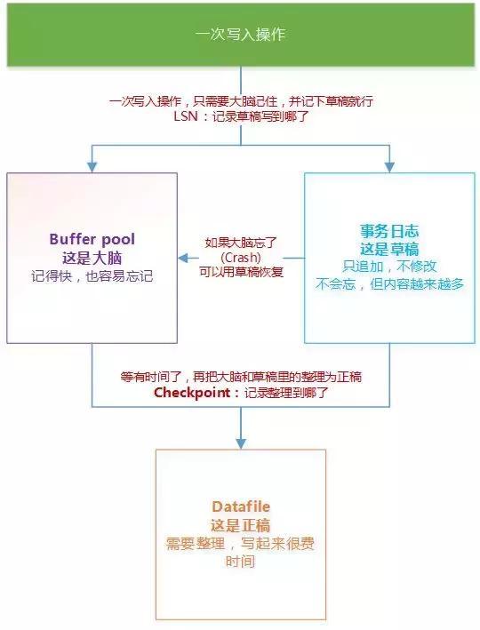 澳门正版资料大全免费大全鬼谷子,深入执行数据策略_完整版63.711