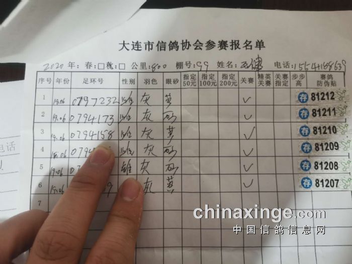 大连信鸽协会最新公告发布，多项更新与活动安排揭晓