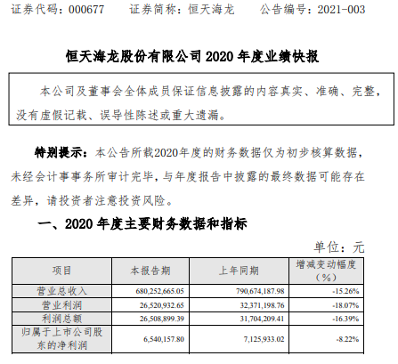 恒天海龙发布最新公告，未来战略方向与业务发展动态展望