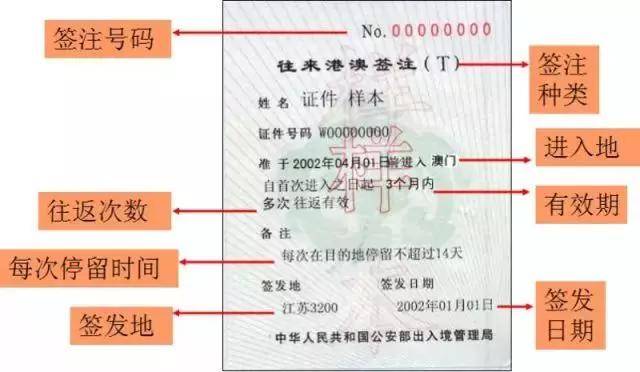 新澳门最准平特一肖,经济性执行方案剖析_户外版2.632