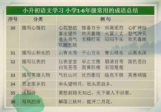 2024澳门天天开好彩大全46期,确保成语解释落实的问题_试用版7.236