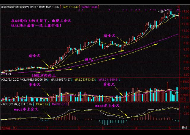 今晚澳门特马开什么,正确解答落实_轻量版2.282