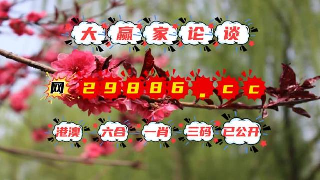 澳门一肖一码一一子中特,经典解读说明_高级版25.581