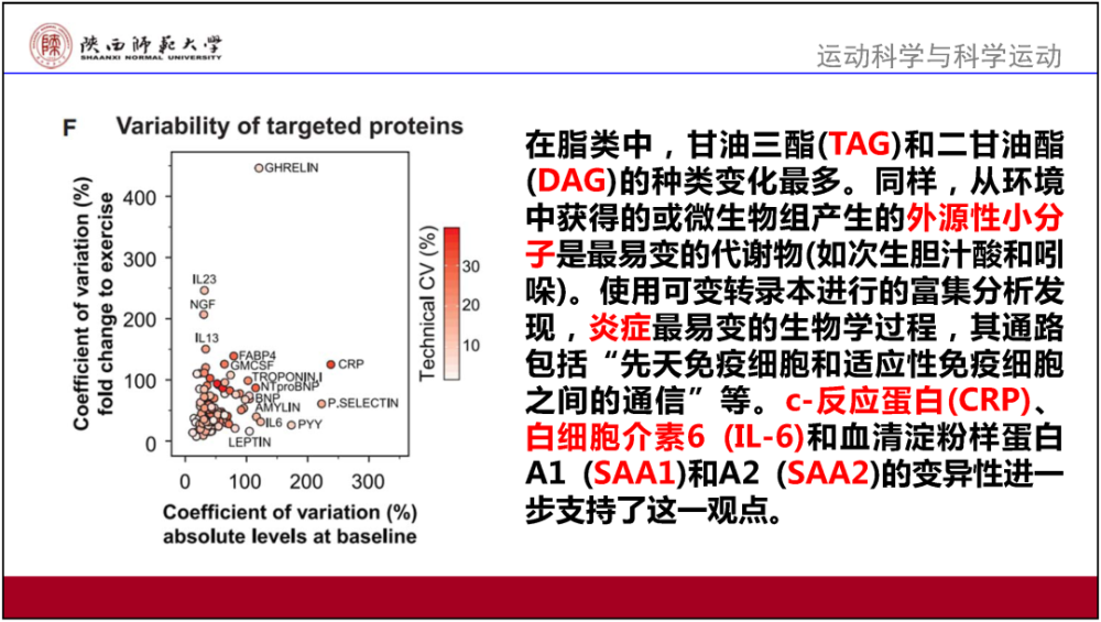 澳门正版资料全年免费公开精准,广泛的解释落实方法分析_标准版90.65.32