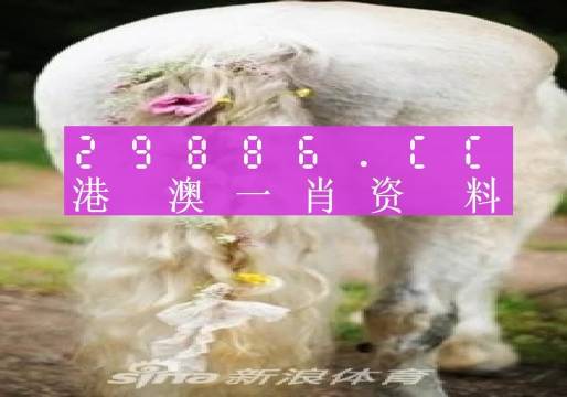 澳门精准一肖一码精准确2023,数据资料解释落实_HD38.32.12