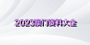 新澳门资料大全正版资料2023,决策资料解释落实_经典版172.312