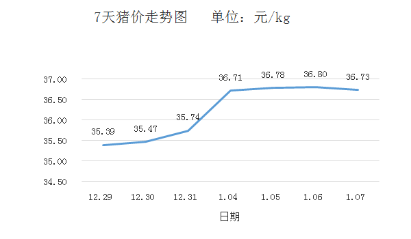 最新猪价走势分析，市场动态与预测报告