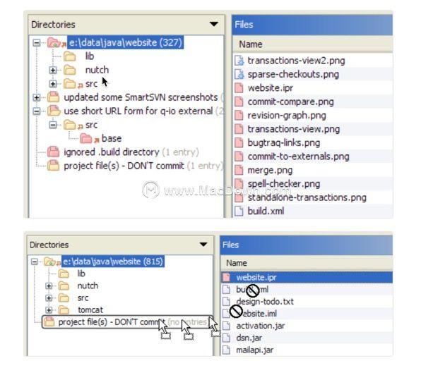 SVN最新版本功能升级与应用优化概览