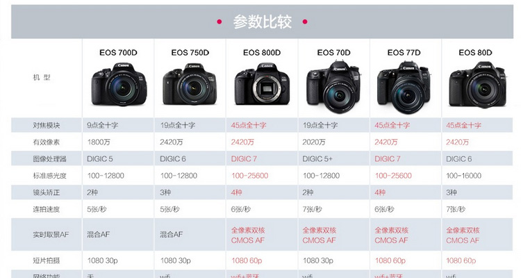 EOS最新价格动态解析报告