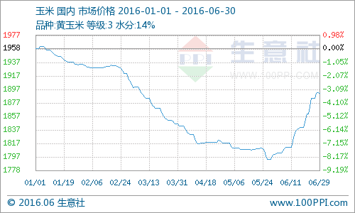 2016年玉米最新行情深度解析