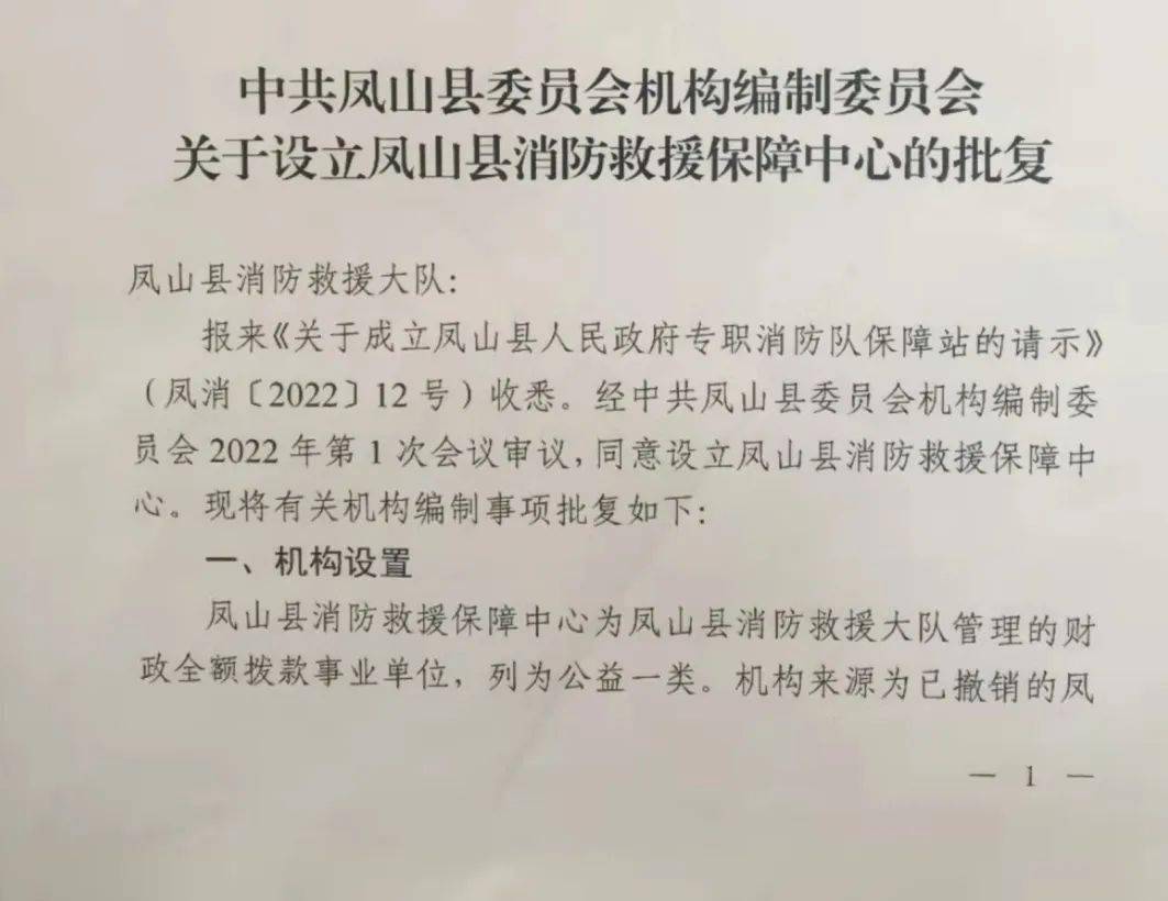 凤山县应急管理局最新招聘信息概览，岗位、要求与申请指南