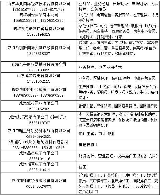 烟台港最新招聘启事，开启职业新篇章之路