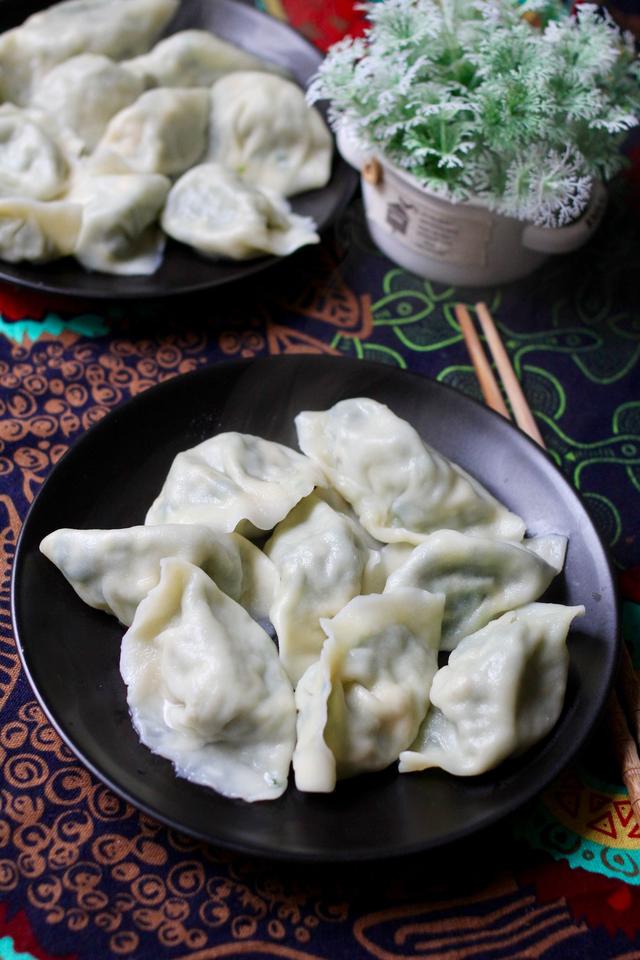 最新饺子包法视频，多样制作与美味传承的探索