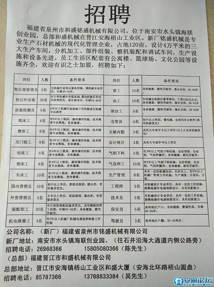 炉桥最新招聘信息全面解析