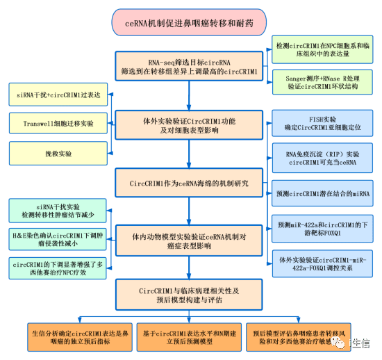 新噢彩资料免费资料大全,结构化推进评估_2D41.488