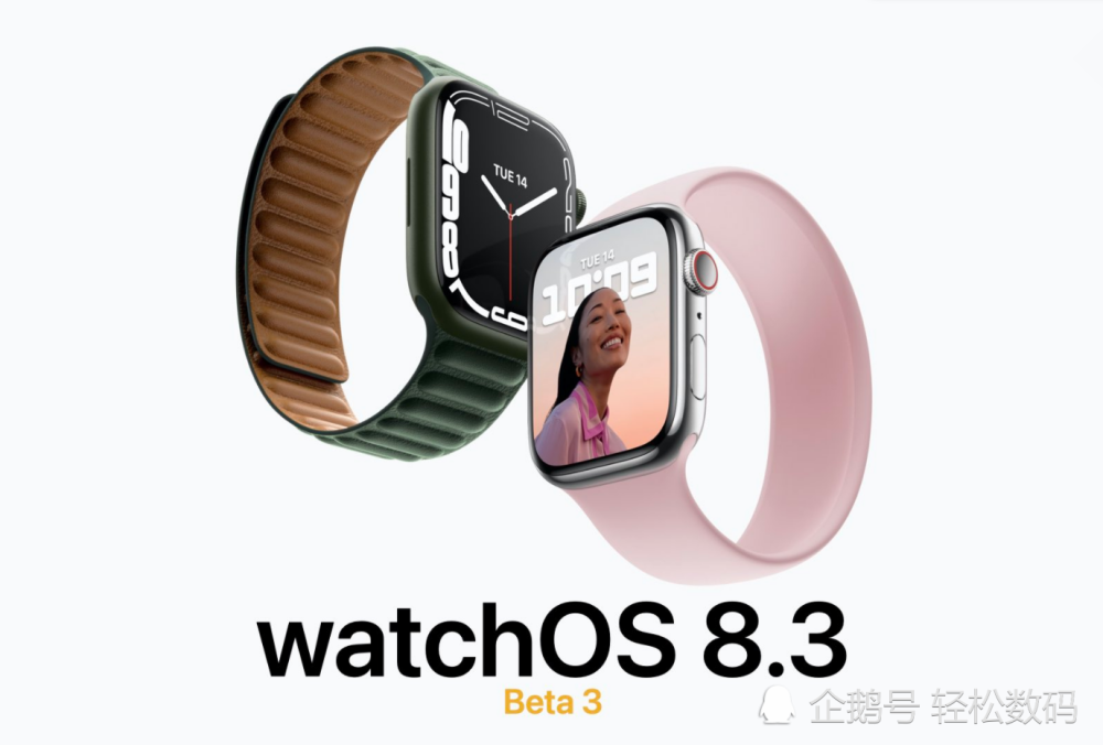 新澳2024大全正版免费,详细解读落实方案_watchOS17.263