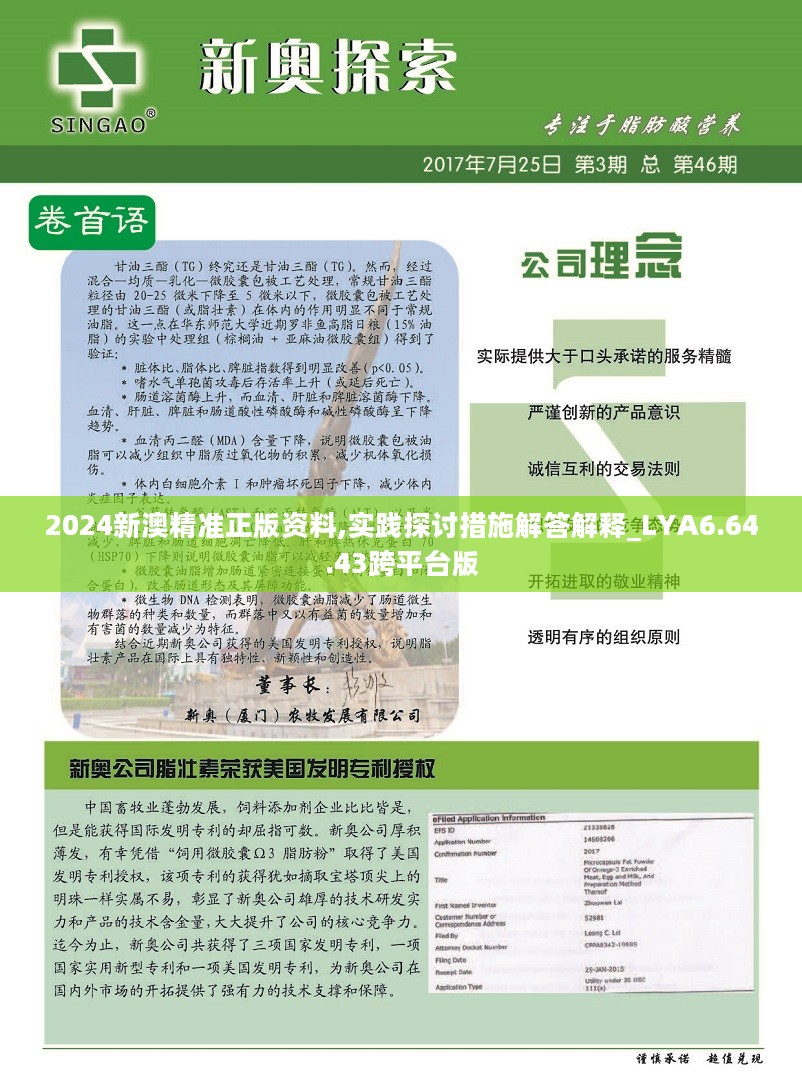 2024新澳精准正版资料,系统化推进策略研讨_领航款30.666