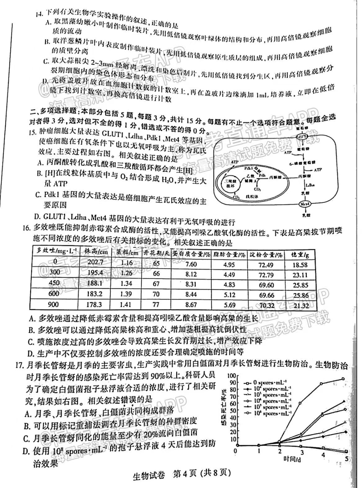 7777788888王中王开奖十记录网一,实践调查解析说明_运动版63.449