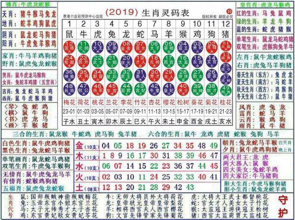 澳门正版资料大全资料生肖卡,快速响应执行方案_入门版96.706