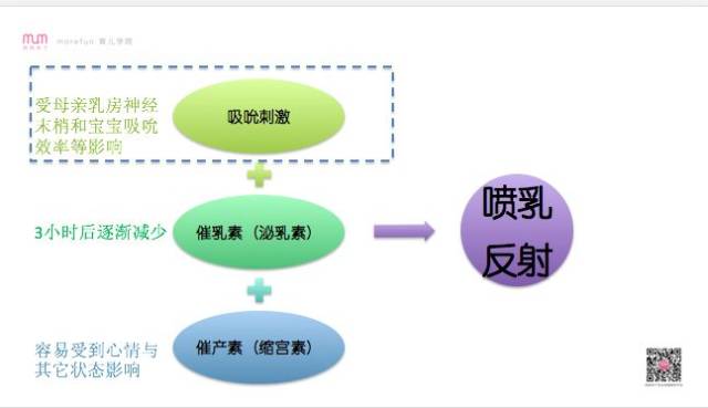 2024新澳门今晚开特马直播,理论依据解释定义_冒险款58.543