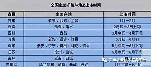 洋葱产地价格最新动态分析