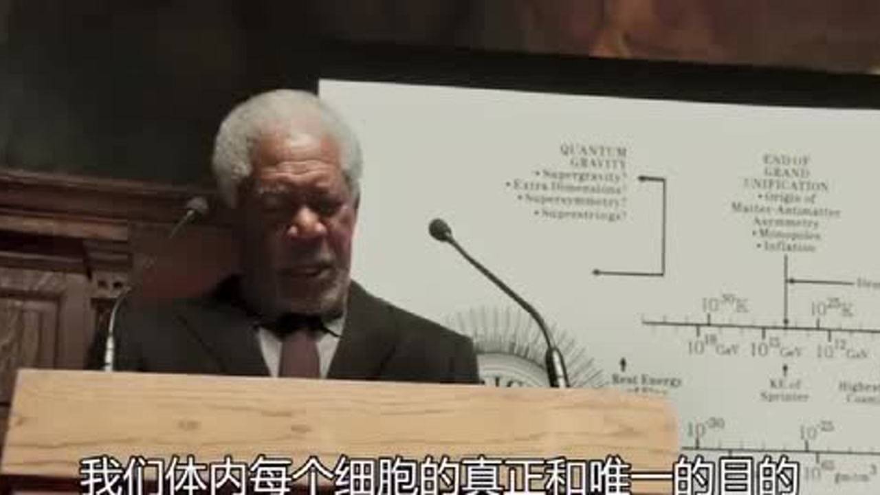 探寻生命延长奥秘，长生不老最新研究与前景展望