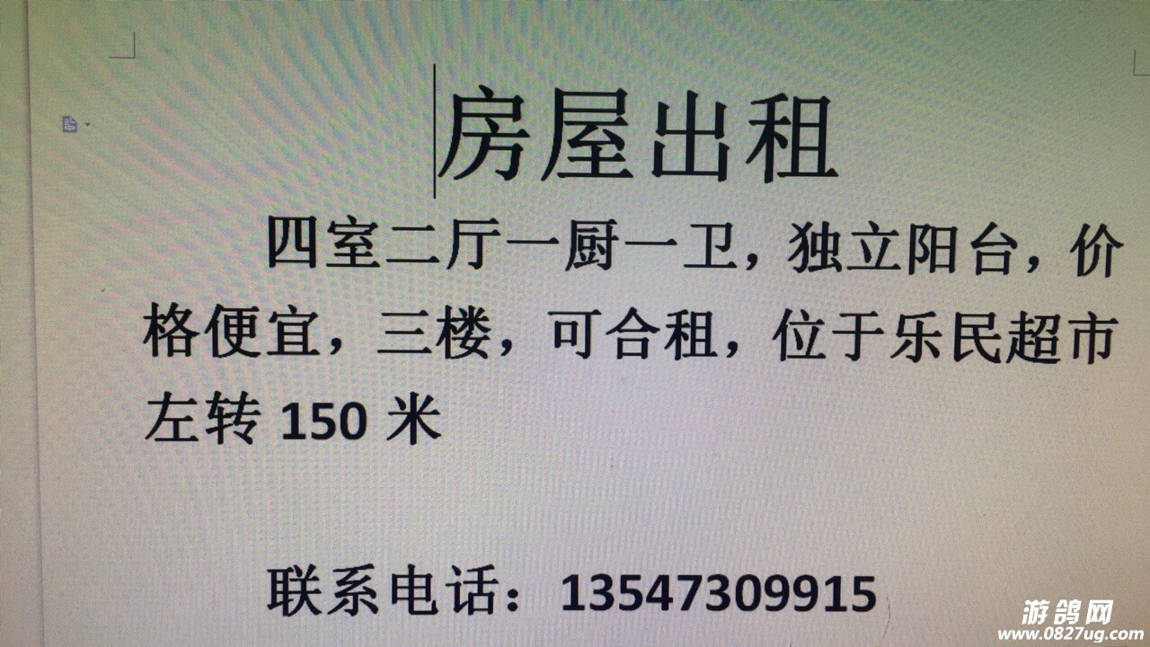 惠民租房最新动态，推动住房租赁市场稳健发展