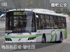 梅州最新公交车路线概览及最新动态更新