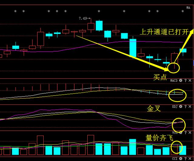 777888精准管家婆免费｜构建解答解释落实