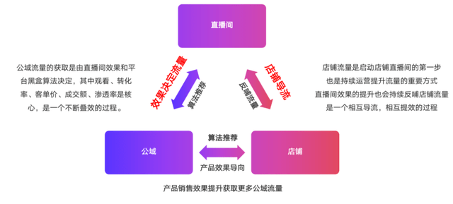 2024新澳门今晚开特马直播｜精选解析落实策略